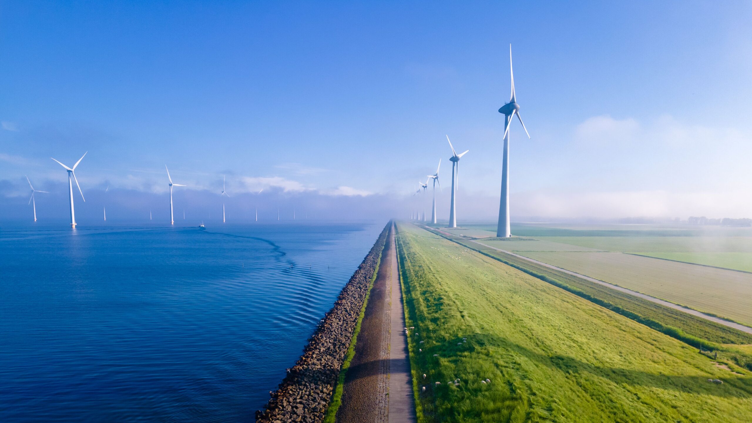 Ein Windpark im Wasser und auf dem Festland 